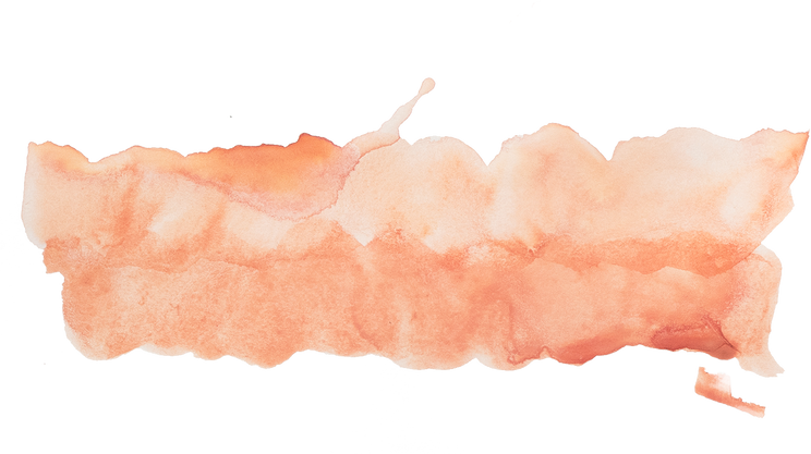 Hand-Painted Elegant Muted Watercolor Swashes